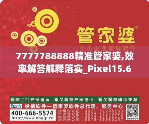 7777788888精准管家婆,效率解答解释落实_Pixel15.627