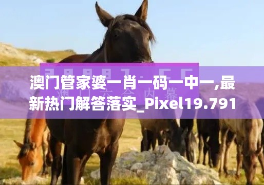 澳门管家婆一肖一码一中一,最新热门解答落实_Pixel19.791