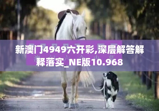 新澳门4949六开彩,深层解答解释落实_NE版10.968