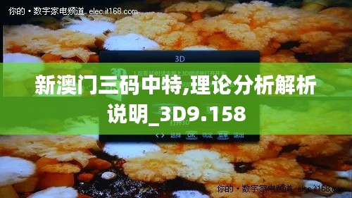 新澳门三码中特,理论分析解析说明_3D9.158