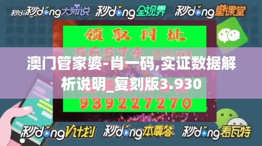 澳门管家婆-肖一码,实证数据解析说明_复刻版3.930