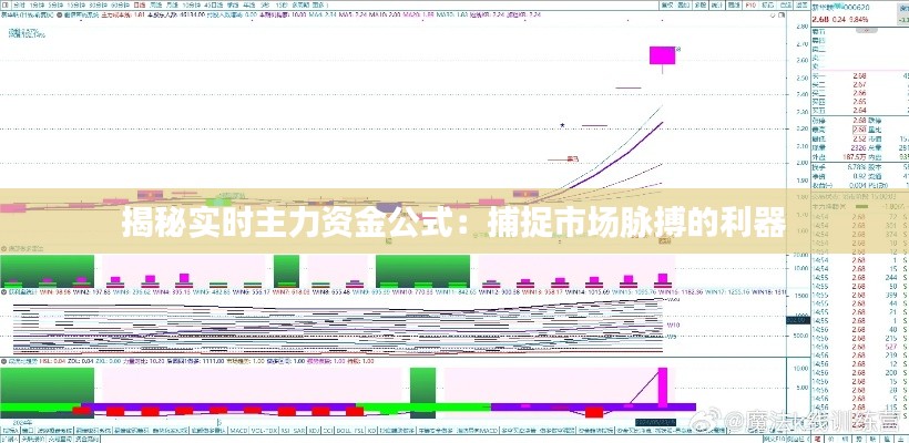 揭秘实时主力资金公式：捕捉市场脉搏的利器