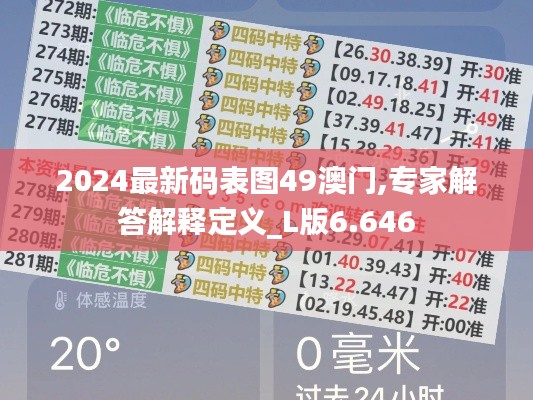 2024最新码表图49澳门,专家解答解释定义_L版6.646