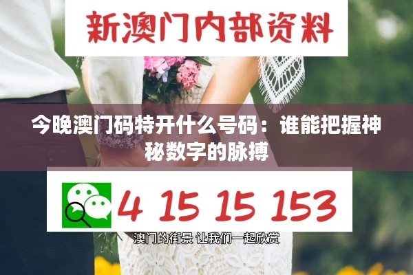 今晚澳门码特开什么号码：谁能把握神秘数字的脉搏