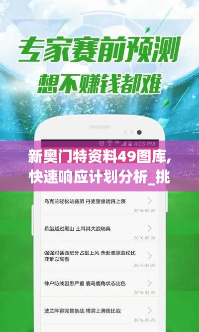 新奥门特资料49图库,快速响应计划分析_挑战版6.888