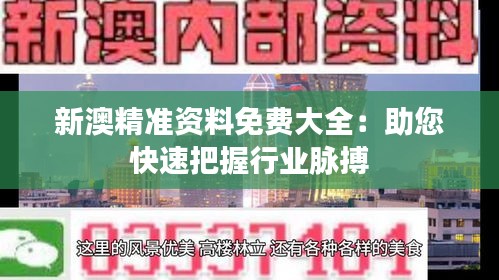 新澳精准资料免费大全：助您快速把握行业脉搏