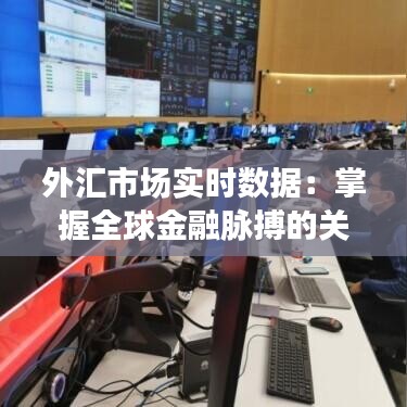 外汇市场实时数据：掌握全球金融脉搏的关键