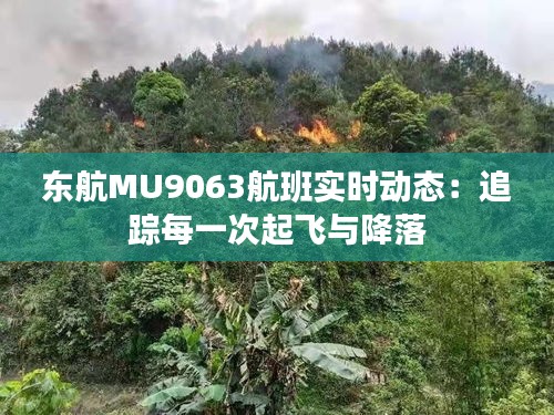 东航MU9063航班实时动态：追踪每一次起飞与降落