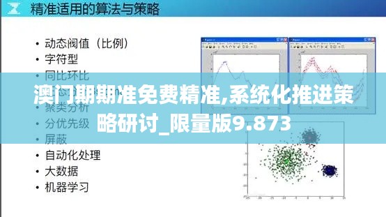 澳门期期准免费精准,系统化推进策略研讨_限量版9.873