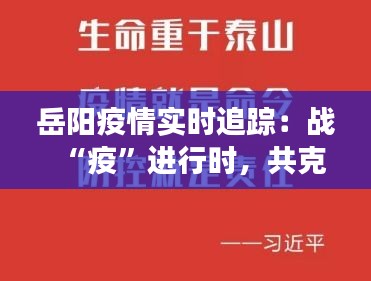 岳阳疫情实时追踪：战“疫”进行时，共克时艰