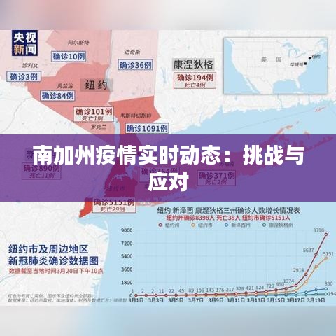 南加州疫情实时动态：挑战与应对