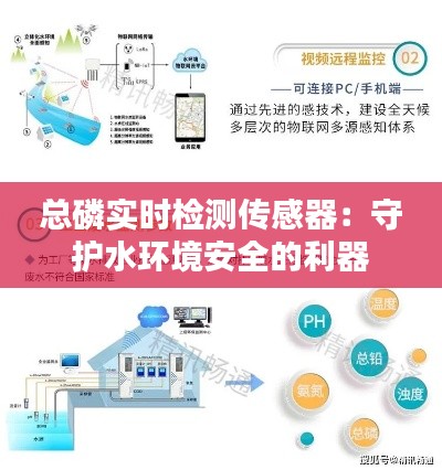 总磷实时检测传感器：守护水环境安全的利器