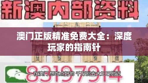 澳门正版精准免费大全：深度玩家的指南针