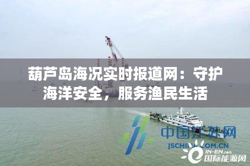 葫芦岛海况实时报道网：守护海洋安全，服务渔民生活