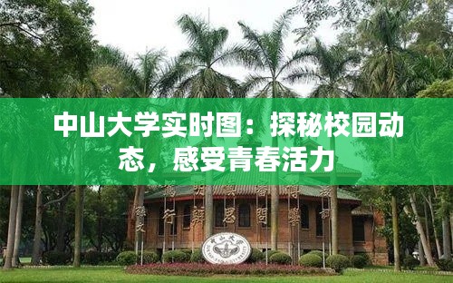 中山大学实时图：探秘校园动态，感受青春活力