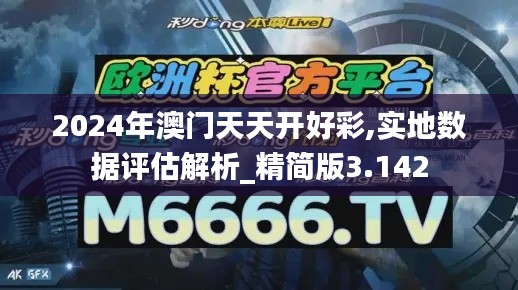 2024年澳门天天开好彩,实地数据评估解析_精简版3.142