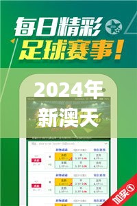 2024年新澳天天开奖资料大全正版安全吗,定性评估解析_VIP3.250