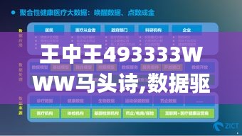 王中王493333WWW马头诗,数据驱动执行方案_Advanced2.107