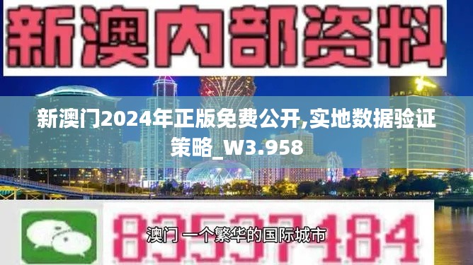 新澳门2024年正版免费公开,实地数据验证策略_W3.958