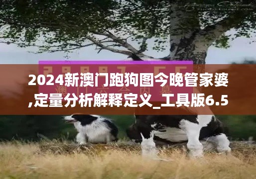 2024新澳门跑狗图今晚管家婆,定量分析解释定义_工具版6.518