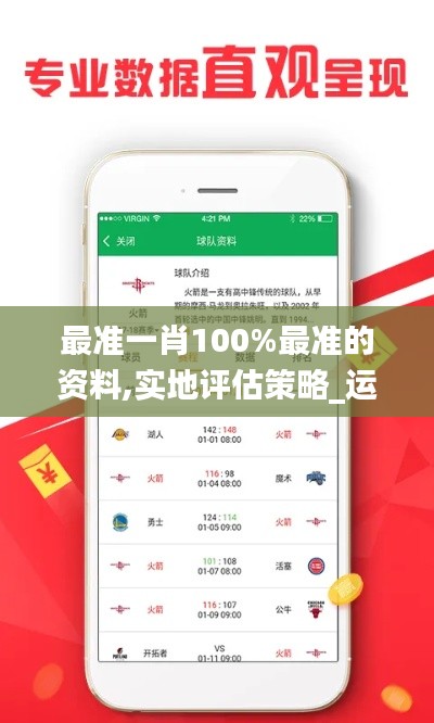 最准一肖100%最准的资料,实地评估策略_运动版9.482