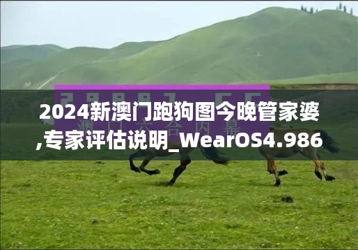 2024新澳门跑狗图今晚管家婆,专家评估说明_WearOS4.986