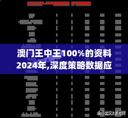 澳门王中王100%的资料2024年,深度策略数据应用_精装款7.400