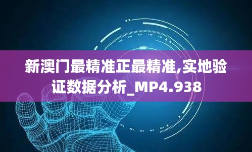 新澳门最精准正最精准,实地验证数据分析_MP4.938