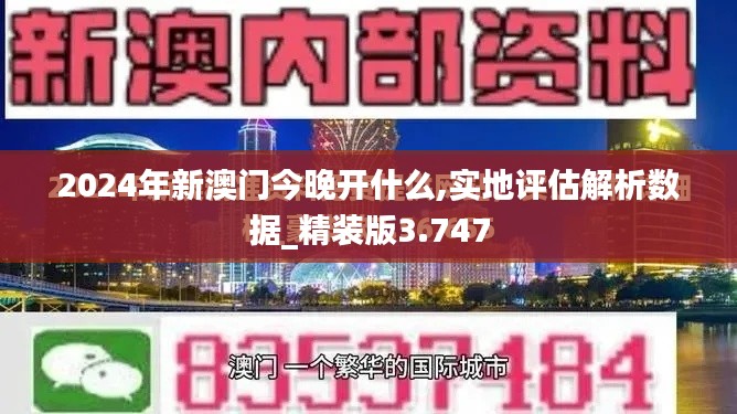 2024年新澳门今晚开什么,实地评估解析数据_精装版3.747