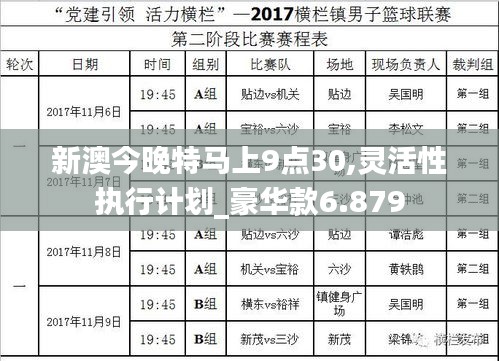 新澳今晚特马上9点30,灵活性执行计划_豪华款6.879