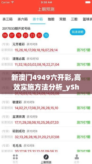 新澳门4949六开彩,高效实施方法分析_yShop10.897