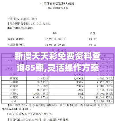 新澳天天彩免费资料查询85期,灵活操作方案_静态版13.935