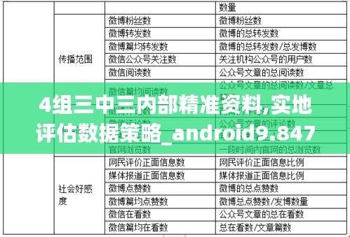 4组三中三内部精准资料,实地评估数据策略_android9.847