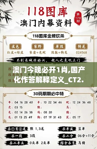 澳门今晚必开1肖,国产化作答解释定义_CT2.274