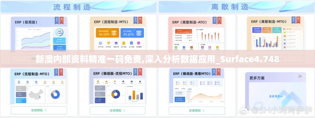 新澳内部资料精准一码免费,深入分析数据应用_Surface4.748