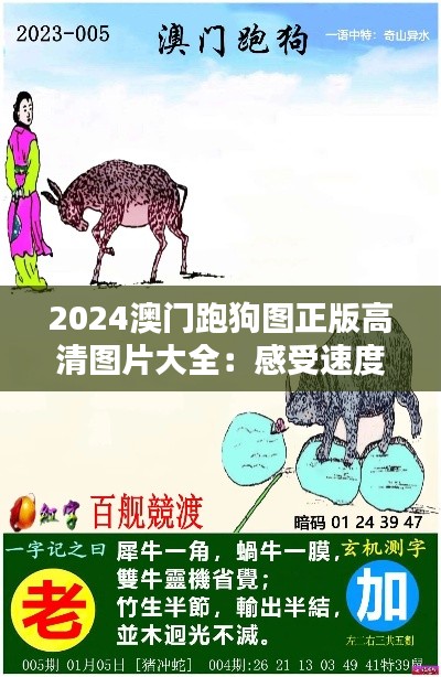 2024澳门跑狗图正版高清图片大全：感受速度与激情的碰撞，每一帧都是艺术