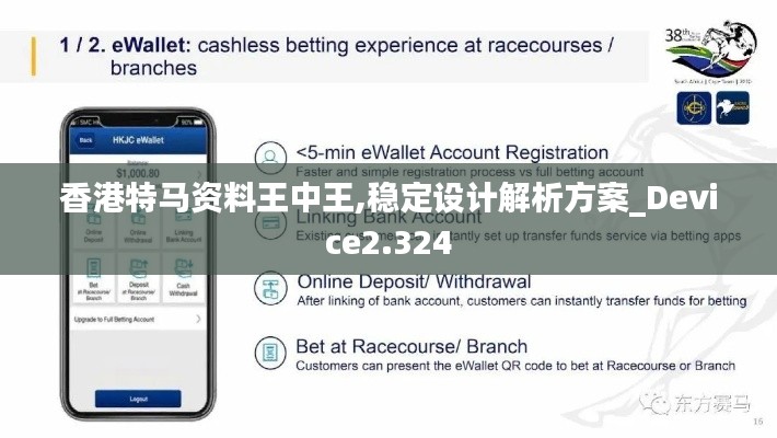 香港特马资料王中王,稳定设计解析方案_Device2.324