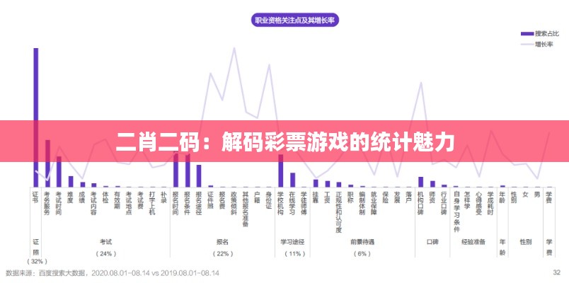 二肖二码：解码彩票游戏的统计魅力