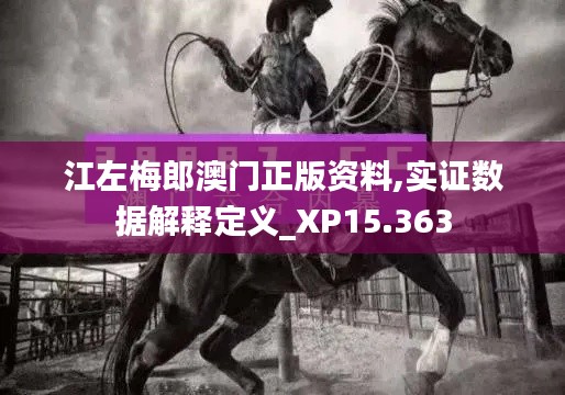 江左梅郎澳门正版资料,实证数据解释定义_XP15.363