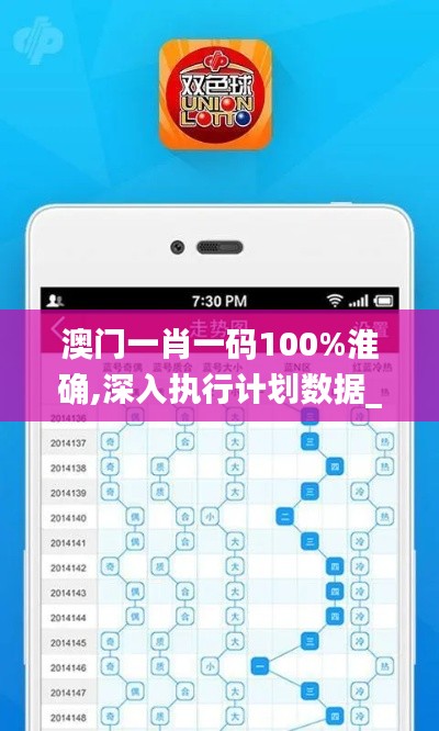 澳门一肖一码100%淮确,深入执行计划数据_S2.573