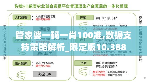 管家婆一码一肖100准,数据支持策略解析_限定版10.388