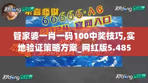 管家婆一肖一码100中奖技巧,实地验证策略方案_网红版5.485