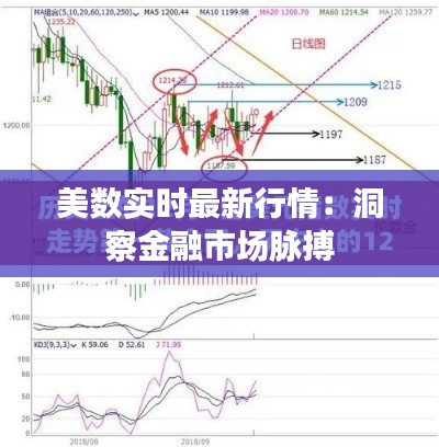 美数实时最新行情：洞察金融市场脉搏