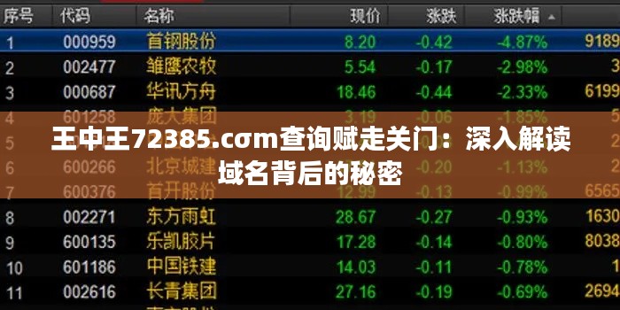 王中王72385.cσm查询赋走关门：深入解读域名背后的秘密