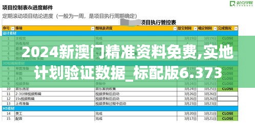 2024新澳门精准资料免费,实地计划验证数据_标配版6.373