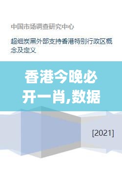 香港今晚必开一肖,数据资料解释定义_Plus5.166