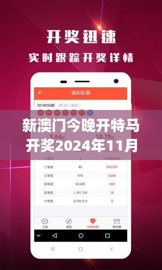 新澳门今晚开特马开奖2024年11月,经典解释落实_7DM4.392