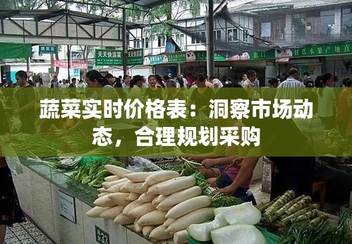 蔬菜实时价格表：洞察市场动态，合理规划采购