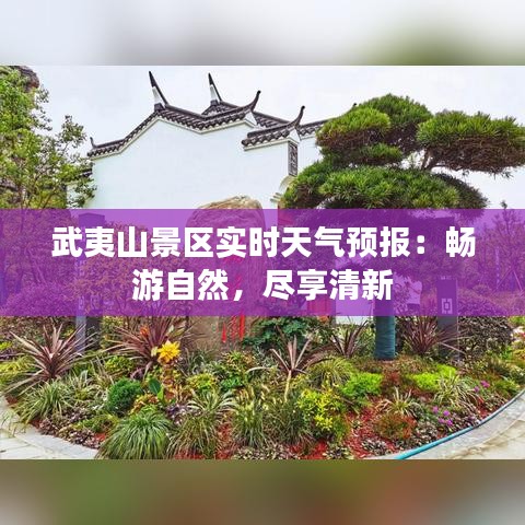 武夷山景区实时天气预报：畅游自然，尽享清新