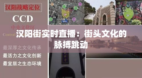 汉阳街实时直播：街头文化的脉搏跳动